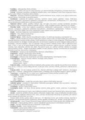 Lietuvių kalbos ir literatūros terminai 9 puslapis