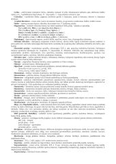 Lietuvių kalbos ir literatūros terminai 10 puslapis