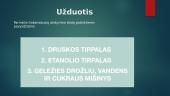 Vienalyčių mišinių išskirstymas  12 puslapis