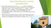 Raseinių miestas 4 puslapis