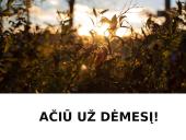 Kaip dažnai jaunimas vartoja tarmės?  15 puslapis