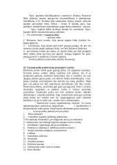 Finansavimo taisyklės 16 puslapis