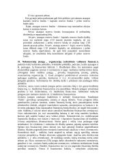 Finansavimo taisyklės 17 puslapis