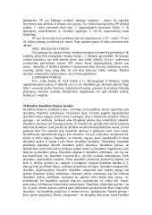 Finansavimo taisyklės 19 puslapis