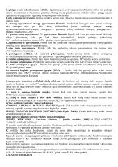 Finansinės apskaitos teorija 2 puslapis