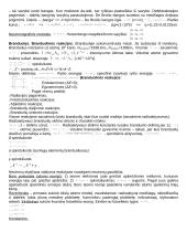 Fizika apie medžiagas ir elektrinius laukus 7 puslapis