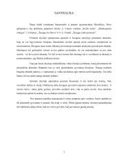 Beprasmybė ir prasmė egzistencinėje filosofijoje (A. Camus, J. Girnius, V.E. Frankl)  2 puslapis