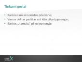 Plaštakos ir jų gestai 13 puslapis