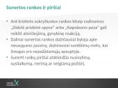 Plaštakos ir jų gestai 6 puslapis