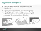 Plaštakos ir jų gestai 9 puslapis