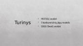 Organizacijos „Google“ išorinės aplinkos analizė 2 puslapis