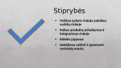 Organizacijos „Google“ išorinės aplinkos analizė 13 puslapis