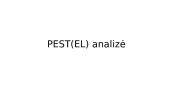 Organizacijos „Google“ išorinės aplinkos analizė 3 puslapis