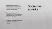 Organizacijos „Google“ išorinės aplinkos analizė 6 puslapis