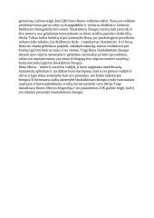 Renesanso žmogus 2 puslapis