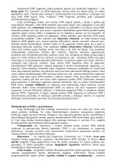 Genetika ir dauginimasis 13 puslapis