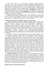 Genetika ir dauginimasis 4 puslapis