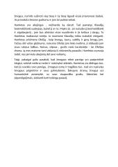 Hamleto asmenybė: kodėl svyruoja Hamletas?" 2 puslapis