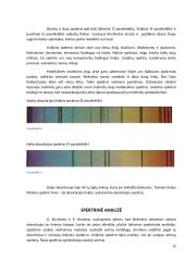 Spektrai fizikoje 9 puslapis