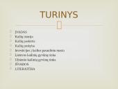 Kailių rinkos analizės Lietuvoje ir pasaulyje 2 puslapis