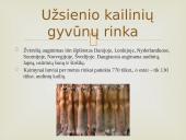 Kailių rinkos analizės Lietuvoje ir pasaulyje 11 puslapis