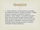 Kailių rinkos analizės Lietuvoje ir pasaulyje 13 puslapis