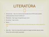 Kailių rinkos analizės Lietuvoje ir pasaulyje 14 puslapis