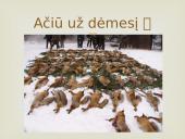 Kailių rinkos analizės Lietuvoje ir pasaulyje 15 puslapis