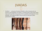 Kailių rinkos analizės Lietuvoje ir pasaulyje 3 puslapis