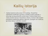 Kailių rinkos analizės Lietuvoje ir pasaulyje 4 puslapis