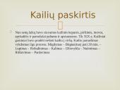 Kailių rinkos analizės Lietuvoje ir pasaulyje 6 puslapis