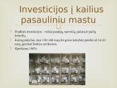 Kailių rinkos analizės Lietuvoje ir pasaulyje 9 puslapis