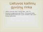 Kailių rinkos analizės Lietuvoje ir pasaulyje 10 puslapis