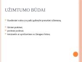 Kiaulių užimtumas ir žaislai 3 puslapis