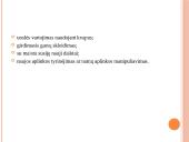 Kiaulių užimtumas ir žaislai 4 puslapis