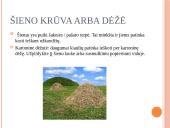 Kiaulių užimtumas ir žaislai 6 puslapis