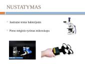 Kumelių mastitas 2 puslapis