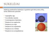 Kumelių mastitas 4 puslapis