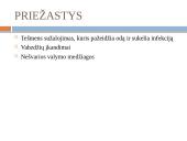 Kumelių mastitas 5 puslapis