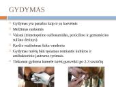 Kumelių mastitas 6 puslapis