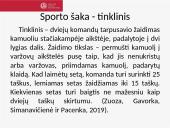 Tinklinis: žaidimo taisyklės ir specifika 2 puslapis