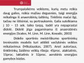 Tinklinis: žaidimo taisyklės ir specifika 11 puslapis