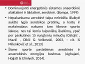 Tinklinis: žaidimo taisyklės ir specifika 13 puslapis