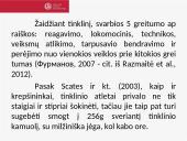Tinklinis: žaidimo taisyklės ir specifika 17 puslapis