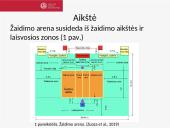Tinklinis: žaidimo taisyklės ir specifika 3 puslapis