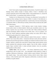 Roboto siurblio nauda šiuolaikinėje buityje 4 puslapis