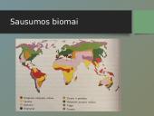 Mišriųjų miškų biomas 2 puslapis