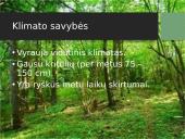 Mišriųjų miškų biomas 4 puslapis