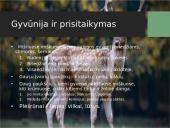 Mišriųjų miškų biomas 6 puslapis