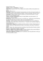 Kūrinio analizė: Antigonė, pirmas epeizodijas